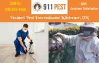 Pest Control Kitchener image 14